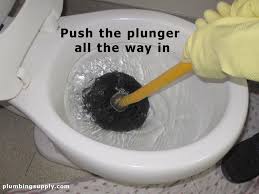 Toilet Stopped Up? Use a Plunger!