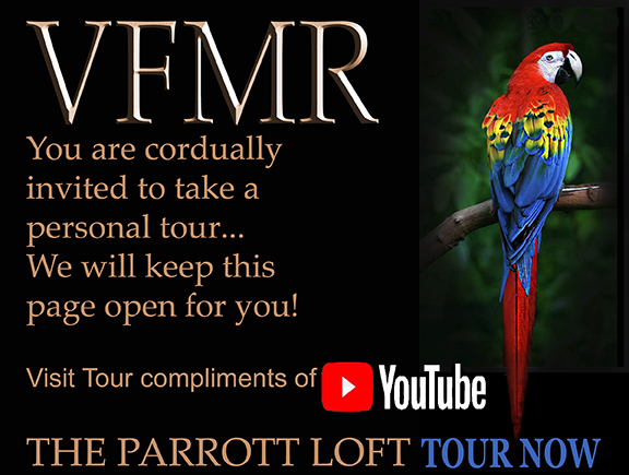 YOUTUBE-VideoTourLink